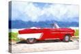Stretched Canvas Print