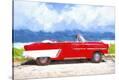 Stretched Canvas Print