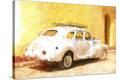 Stretched Canvas Print