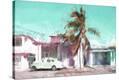 Stretched Canvas Print