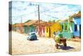 Stretched Canvas Print