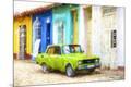 Art Print