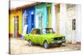 Stretched Canvas Print