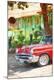 Premium Giclee Print