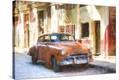 Stretched Canvas Print