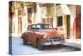 Stretched Canvas Print