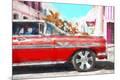 Premium Giclee Print