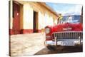Stretched Canvas Print