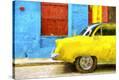 Stretched Canvas Print