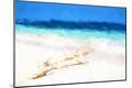 Premium Giclee Print