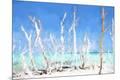 Premium Giclee Print