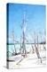 Stretched Canvas Print