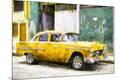 Premium Giclee Print