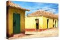 Stretched Canvas Print