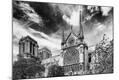Photographic Print