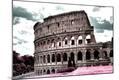 Photographic Print