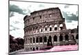Photographic Print