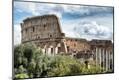 Photographic Print