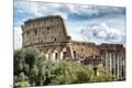 Premium Photographic Print