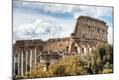 Photographic Print