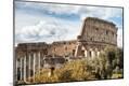 Photographic Print