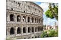 Photographic Print