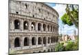 Photographic Print