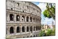 Photographic Print