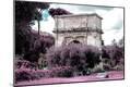 Photographic Print