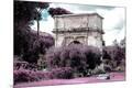 Photographic Print