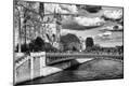 Photographic Print