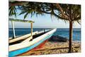 Photographic Print