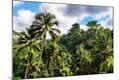 Photographic Print
