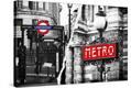 Stretched Canvas Print