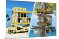 Premium Photographic Print