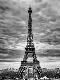 Premium Photographic Print