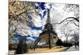 Photographic Print