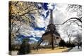 Stretched Canvas Print