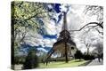 Stretched Canvas Print