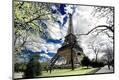 Photographic Print