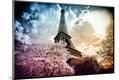 Photographic Print