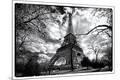 Premium Photographic Print