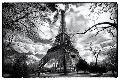 Premium Photographic Print