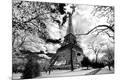 Photographic Print