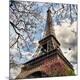 Premium Photographic Print