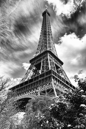 eiffel tower night prints 8x10 black and white photography paris themed room 11x14 wall art 16x20 Transcendant Paris Black and White