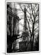Premium Photographic Print