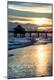 Premium Photographic Print