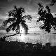 Premium Photographic Print