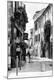 Premium Photographic Print